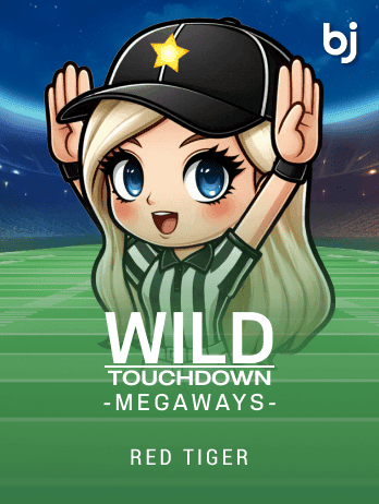 Wild Touchdown Megaways icon